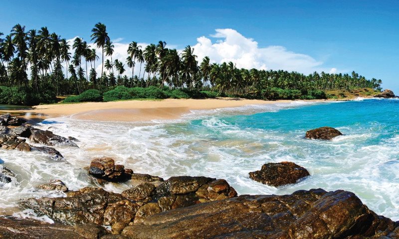 ساحلی زیبا در سریلانکا